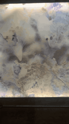 IMG_7381.gif